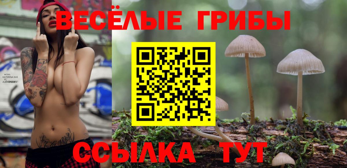 Шахты  Псилоцибиновые грибы Psilocybe  Вход с VPN 